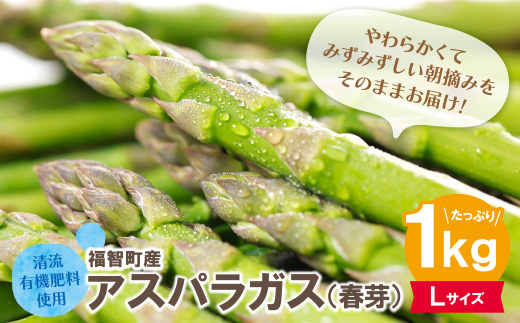 清流・自然栽培 アスパラガス(春芽) 1kg(L) Lサイズ