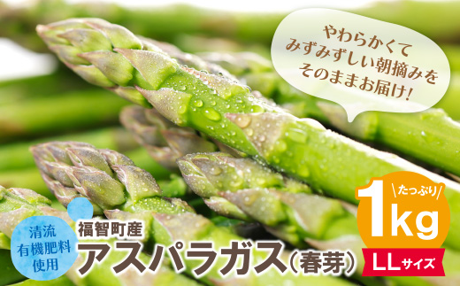 清流・自然栽培 アスパラガス(春芽) 1kg(LL) LLサイズ