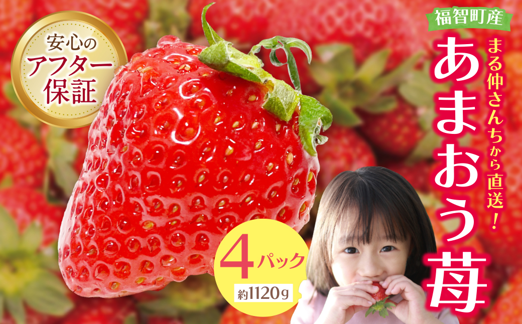 アルギット農業「あまおう苺」(4パック)