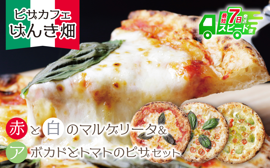 最短7営業日発送  げんき畑 ピザ 3枚セット＜(赤・白)＆アボカドとトマトのピザ＞ 最短7日以内に発送