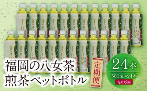 福岡の八女茶 煎茶ペットボトル(24本)定期便(毎月×6回)