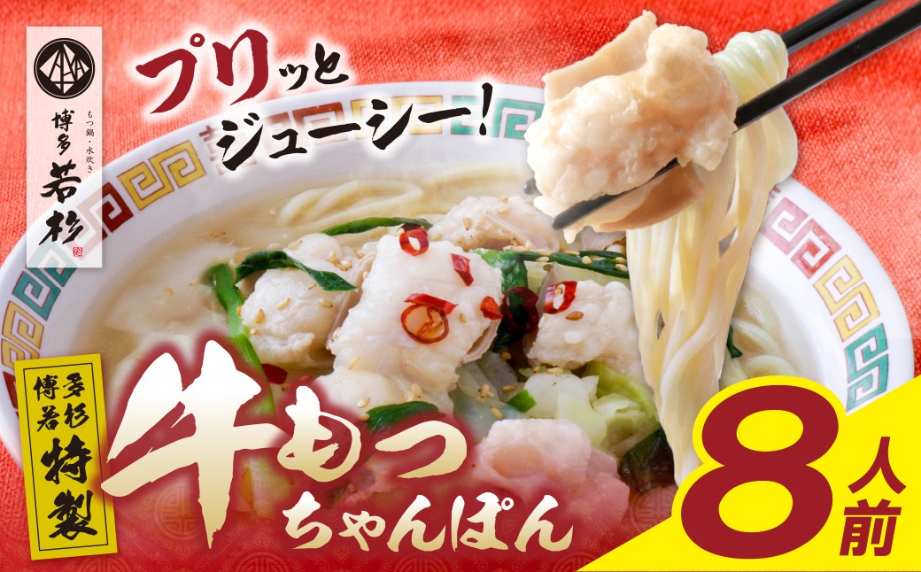 博多若杉 もつちゃんぽん　8食セット	 8食セット