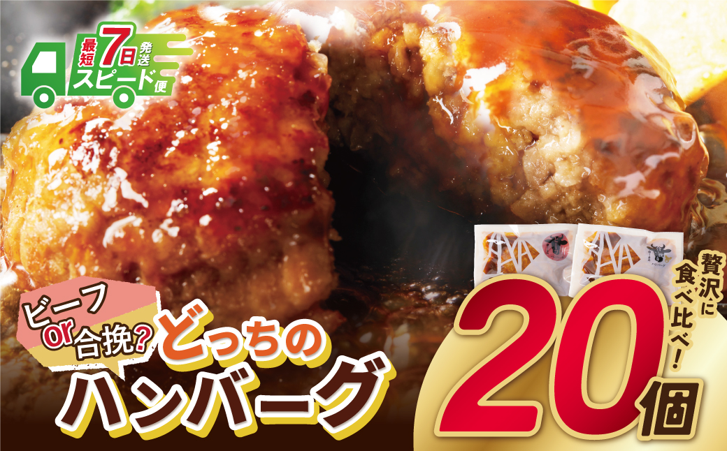 【最短発送（※1/7より順次）】【累計460万個突破！】どっちの ハンバーグ !?デミグラスソース150g×20個セット（ビーフ・合挽 各10個） ハンバーグ 牛肉 豚肉 洋食 ハンバーグ はんばーぐ 大容量 冷凍 人気 ハンバーグ デミソース 手軽 冷凍 3kg おかず 肉 おすすめ ハンバーグ お得 ハンバーグステーキ 味付ハンバーグ 【スピード発送】20個