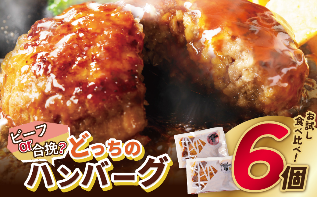 【累計460万個突破！】どっちの ハンバーグ !?デミグラスソース150g×6個セット（ビーフ・合挽 各3個） ハンバーグ 牛肉 豚肉 洋食 ハンバーグ はんばーぐ お試し 冷凍 人気 ハンバーグ デミソース 手軽 冷凍 おかず 肉 おすすめ ハンバーグ お得 ハンバーグステーキ 味付ハンバーグ 【通常発送】6個