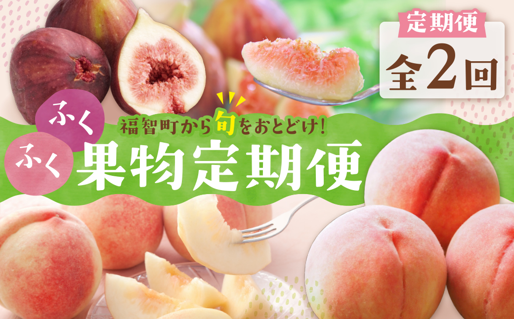★先行予約受付開始★ ふくふく果実定期便（隔月・年2回） 2026年発送 いちじく イチジク とよみつひめ もも 桃 モモ さくひめ フルーツ 果物 定期便 福岡県産 福智町産 送料無料