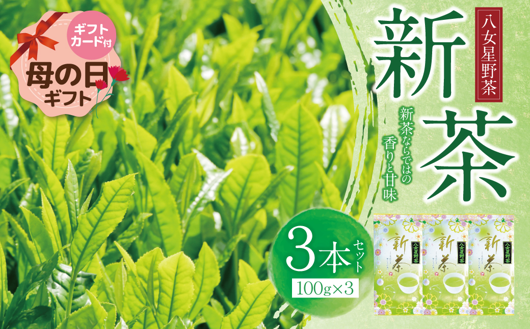 【母の日】新茶 八女星野茶 100g×3本