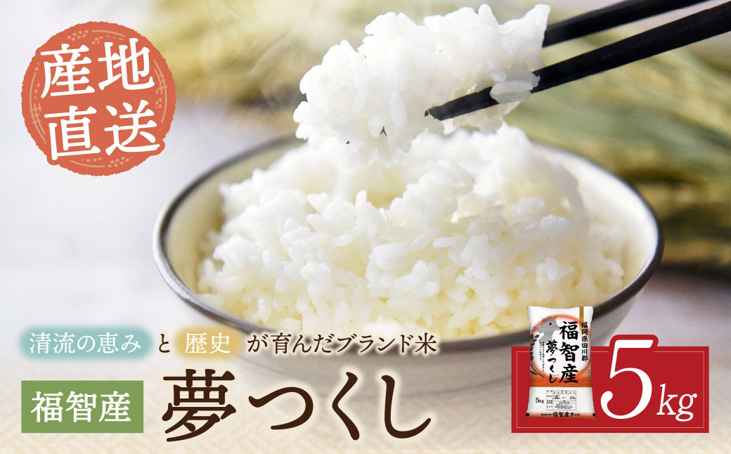 福智町産ブランド米(夢つくし5kg)  お米 米 こめ コメ ブランド米 白米 人気 おすすめ 夢つくし ゆめつくし 福岡県産米 食料品 日常 福岡県 