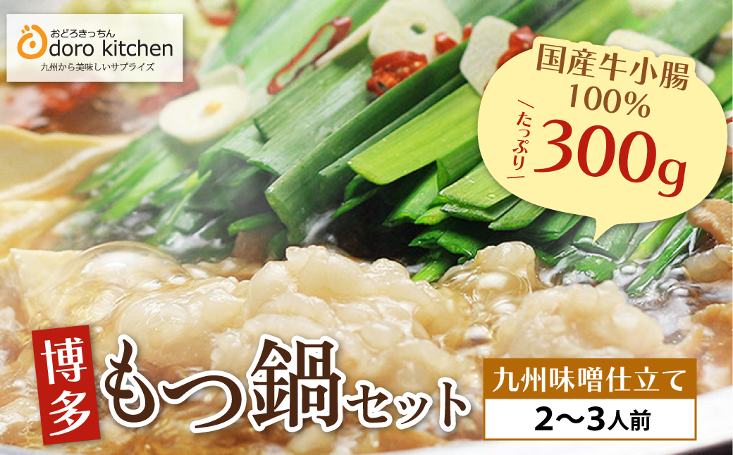 おどろきっちん 博多もつ鍋セット(九州味噌仕立て) 2～3人前 2~3人前・味噌