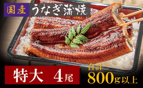 国産うなぎ蒲焼特大サイズ4尾(計800g以上)鰻蒲焼用タレ・山椒付