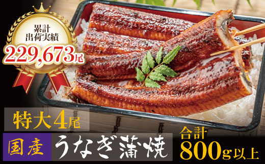 累計販売数229,673件突破 国産うなぎ蒲焼特大サイズ4尾(計800g以上)鰻蒲焼用タレ・山椒付 鰻 うなぎ うなぎ 生産量日本一 鰻 うなぎ うなぎ 鹿児島産 鰻 うなぎ うなぎ 宮崎産 うなぎ うなぎ 熊本産 うなぎ 鰻 うなぎ 国産 鰻 うなぎ うなぎ 有頭 うなぎ 鰻 うなぎ 土用の丑の日 鰻 うなぎ うなぎ 贈答 うなぎ 鰻 うなぎ 九州産 うなぎ 鰻 うなぎ 4尾 うなぎ 鰻 うなぎ 蒲焼 うなぎ 鰻 うなぎ 冷凍 うなぎ うなぎ うなぎ うなぎ