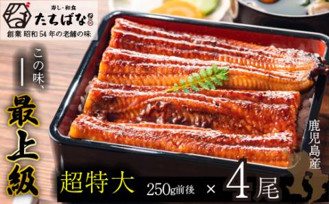 老舗たちばな 鰻蒲焼(250g前後)×4尾 鰻蒲焼用タレ・山椒付 鰻 うなぎ
