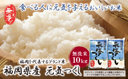 【新米】令和7年産 無洗米 福岡県産・元気つくし10kg  無洗米 むせんまい 米 コメ 10kg キャンプ 研がなくていい  5kg×2 TWR 10キロ 箱入り 手間なし カンタン 簡単 福岡 元気つくし 元気づくし 手軽 リピート 日時指定 ギフト お中元 お歳暮 手にやさしい 時短 コスパ 福岡県限定銘柄 人気上昇中	