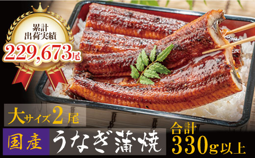 累計販売数229,673件突破 国産うなぎ蒲焼大サイズ2尾(計330g以上)鰻蒲焼用タレ・山椒付 鰻 うなぎ うなぎ 生産量日本一 鰻 うなぎ うなぎ 鹿児島産 鰻 うなぎ 宮崎産 うなぎ 熊本産 うなぎ 鰻 うなぎ 国産 鰻 うなぎ 有頭 うなぎ 鰻 うなぎ 土用の丑の日 鰻 うなぎ うなぎ 贈答 うなぎ 鰻 うなぎ 九州産 うなぎ 鰻 うなぎ 2尾 うなぎ 鰻 うなぎ 蒲焼 うなぎ 鰻 うなぎ 冷凍 うなぎ 鰻 うなぎ うなぎ うなぎ