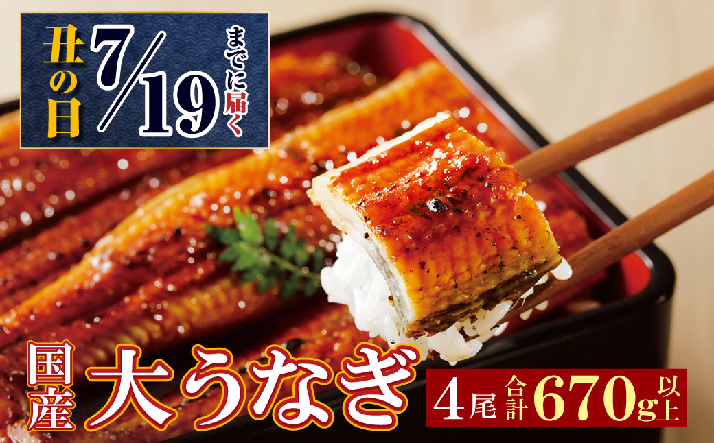 [丑の日前日までにお届け]累計販売数229,673件突破 国産うなぎ蒲焼大サイズ4尾(計670g以上)鰻蒲焼用タレ・山椒付 鰻 うなぎ うなぎ 生産量日本一 鰻 うなぎ うなぎ 鹿児島産 鰻 うなぎ うなぎ 宮崎産 うなぎ うなぎ 熊本産 うなぎ 鰻 うなぎ 国産 鰻 うなぎ うなぎ 有頭 うなぎ 鰻 うなぎ 鰻 うなぎ うなぎ 贈答 うなぎ 鰻 うなぎ 九州産 うなぎ