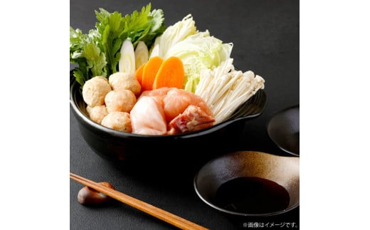 はかた地どり 水炊きセット (3-4人前) 水炊き 鍋 地鶏 鶏肉 肉