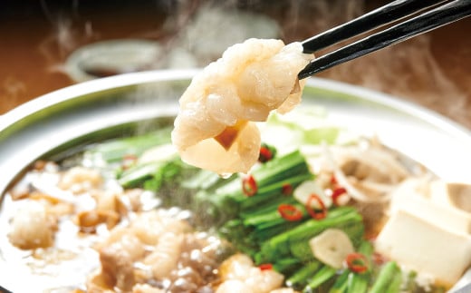 ぷるっぷる♪やまや 博多もつ鍋 あごだし醤油味（4人前） もつ鍋 モツ鍋 セット 冷凍