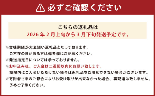 あまおう 約2280g 約285g×8パック いちごファームきらら【ふくおかエコ農産物認証】