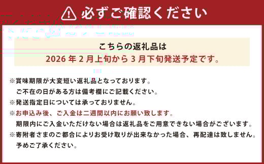 あまおう 約570g 約285g×2パック いちごファームきらら【ふくおかエコ農産物認証】