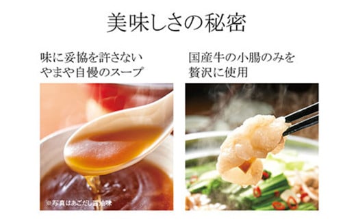 【本場博多のもつ鍋をご家庭で】博多もつ鍋やまや もつ鍋セット こく味噌味（1-2人前）もつ鍋 モツ鍋 セット 冷凍