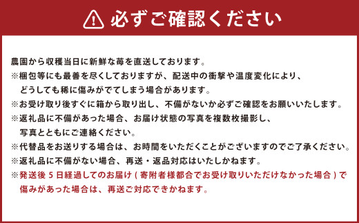 あまおう 約1140g 約285g×4パック いちごファームきらら【ふくおかエコ農産物認証】