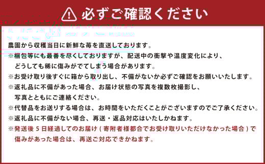 あまおう 約2280g 約285g×8パック いちごファームきらら【ふくおかエコ農産物認証】