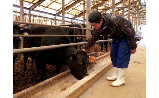 博多和牛100％ 贅沢本格手ごねハンバーグ 150g×10個 合計1.5kg 博多和牛 牛 肉 ハンバーグ 福岡県 苅田町