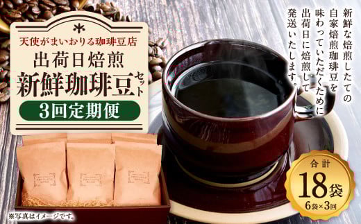 豪華珈琲豆 2種セット ブルーマウンテン100％ ゲイシャ 計2袋 コーヒー