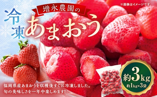 増永農園のあまおう冷凍いちご