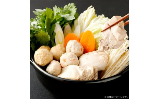 はかた地どり 水炊きセット (3-4人前) 水炊き 鍋 地鶏 鶏肉 肉