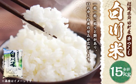 【新米先行予約】白川米 ( 夢つくし ) 合計15kg（5kg×3袋） お米 白米【2025年10月下旬から順次発送予定】