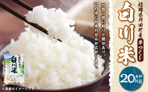 【新米先行予約】白川米 ( 夢つくし ) 合計20kg（5kg×4袋） お米 白米【2025年10月下旬から順次発送予定】