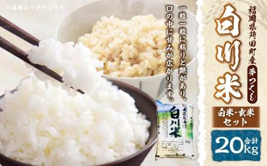 【新米先行予約】白川米 ( 夢つくし ) 白米 ・ 玄米 セット 合計20kg お米 精米【2025年10月下旬から順次発送予定】
