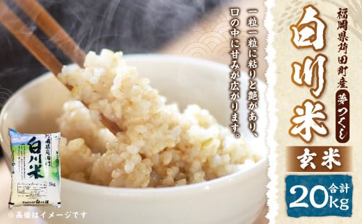 【新米先行予約】白川米 ( 夢つくし ) 玄米 合計20kg（5kg×4袋）【2025年10月下旬から順次発送予定】