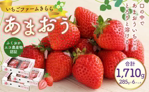 あまおう 約1710g 約285g×6パック いちごファームきらら【ふくおかエコ農産物認証】