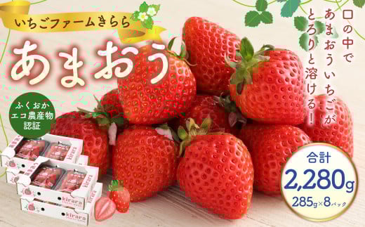 あまおう 約2280g 約285g×8パック いちごファームきらら【ふくおかエコ農産物認証】
