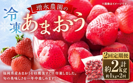 あまおう冷凍いちご 約1kg