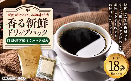 【定期便3回】出荷日焙煎『新鮮珈琲豆セット』3種 6袋 コーヒー 珈琲