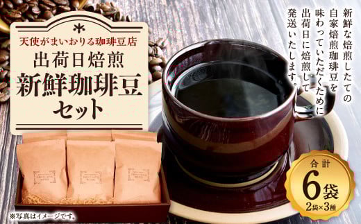 【定期便3回】出荷日焙煎『新鮮珈琲豆(粉に挽いて)』3種 6袋セット