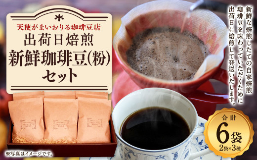 豪華珈琲豆 (粉に挽いて) 2種 ブルーマウンテン100％ ゲイシャ 計2袋