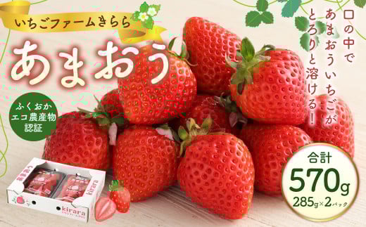 あまおう 約570g 約285g×2パック いちごファームきらら【ふくおかエコ農産物認証】