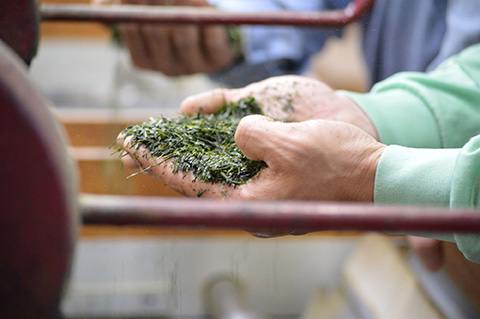 【2025年産】 奥八女・星野村の伝統本玉露 80g ～八女茶～ 吉富町/株式会社ゼロプラス [BGAA019] お茶 緑茶 日本茶 茶葉 玉露 本玉露 八女茶 福岡 福岡県