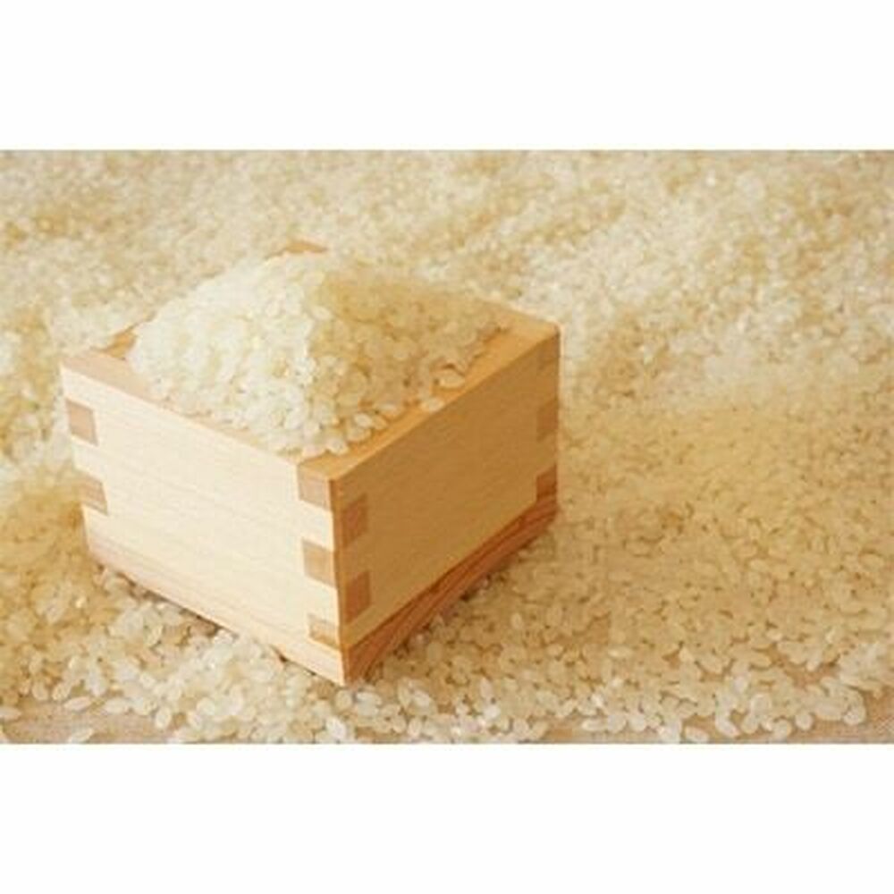 【先行予約】【令和7年産】福岡県産ブランド米「元気つくし」白米5kg 吉富町/株式会社ゼロプラス [BGAA090] 米 精米 お米 おこめ ごはん ご飯 常温 福岡県産 ブランド米 常温 おにぎり おむすび お弁当 ライス 5キロ