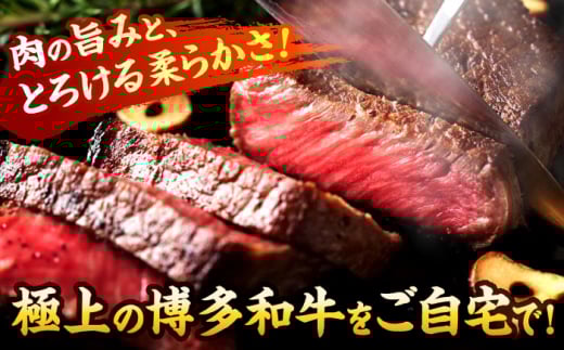 【A4～A5】博多和牛 モモステーキ 約500g(100g×5p) 吉富町/株式会社MEAT PLUS [BGAB048] お肉 おにく 牛肉 黒毛和牛 国産 ステーキ モモ肉 ギフト 福岡県