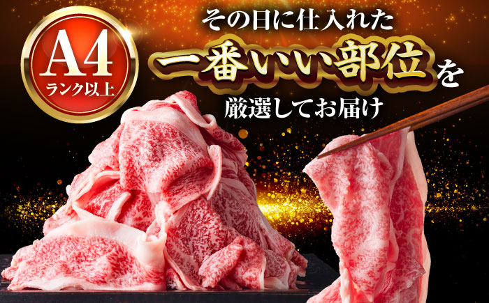 【A4～A5】 博多和牛 大判霜降り 贅沢切り落とし 500g (250g×2P) 吉富町/株式会社MEAT PLUS [BGAB109]