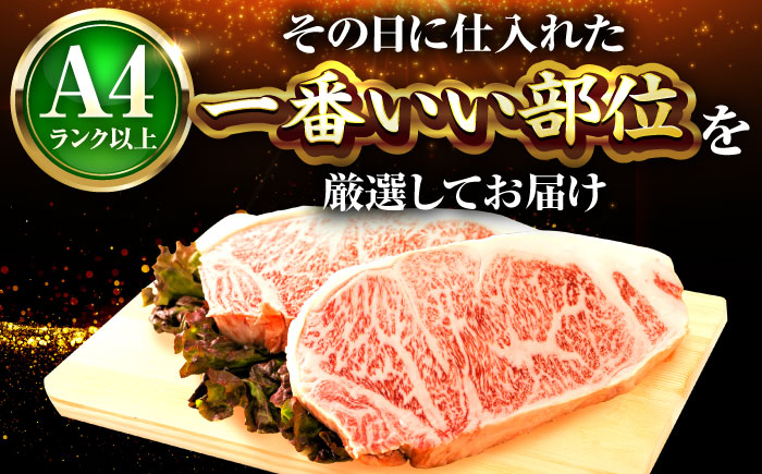 【全3回定期便】【A4～A5】博多和牛 サーロインステーキ 500g(250g×2枚) 吉富町/株式会社MEAT PLUS [BGAB112] 牛肉 サーロインステーキ さーろいんすてーき サーロイン