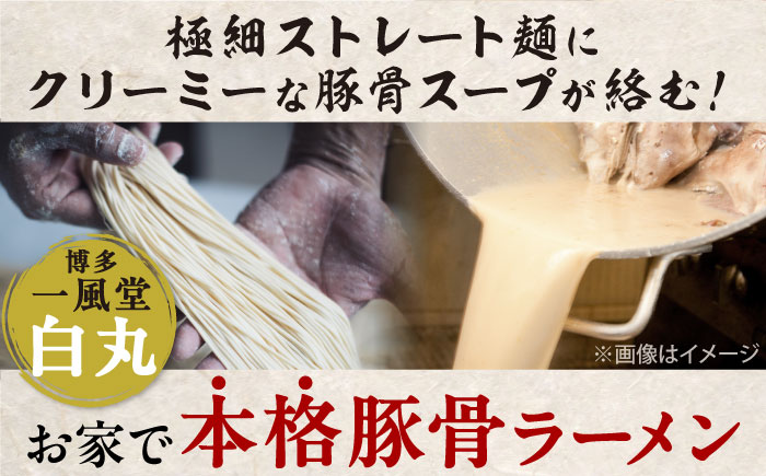 ラー麦使用「一風堂」とんこつラーメン 白丸(8食) 吉富町/株式会社吉浦コーポレーション [BGAD025] ラーメン とんこつ 豚骨 トンコツ 麺 拉麺 らーめん 細麺 豚骨ラーメン 福岡 博多 人気 おすすめ お土産