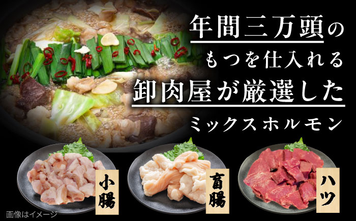 「上田商店」工場直販 もつ鍋(醤油・白味噌/各4-5人前) 吉富町/株式会社吉浦コーポレーション [BGAD058]