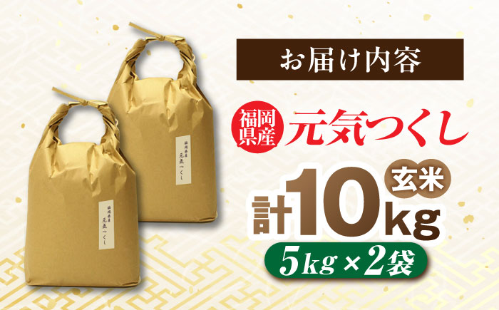 福岡県産 元気つくし 玄米 10kg (5kg×2袋) 吉富町/株式会社ベネフィス [BGAF020] 福岡県