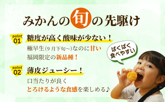 【9月中旬より順次発送】【福岡限定】オリジナルブランド「早味かん」約4kg 吉富町/南国フルーツ株式会社 [BGAG014] 果物 くだもの フルーツ みかん ミカン 蜜柑 オレンジ 旬 柑橘 ふるさと納税 福岡県