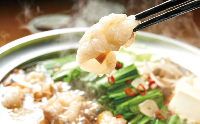 【全12回定期便】博多もつ鍋セット(あごだし醤油味)3-4人前 吉富町/(株)やまやコミュニケーションズ [BGAH052] 鍋セット モツ鍋 簡単調理 国産 牛モツ もつ 大ぶり 醤油 しょうゆ味 醤油味 スープ 濃縮 グルメ 福岡 福岡県